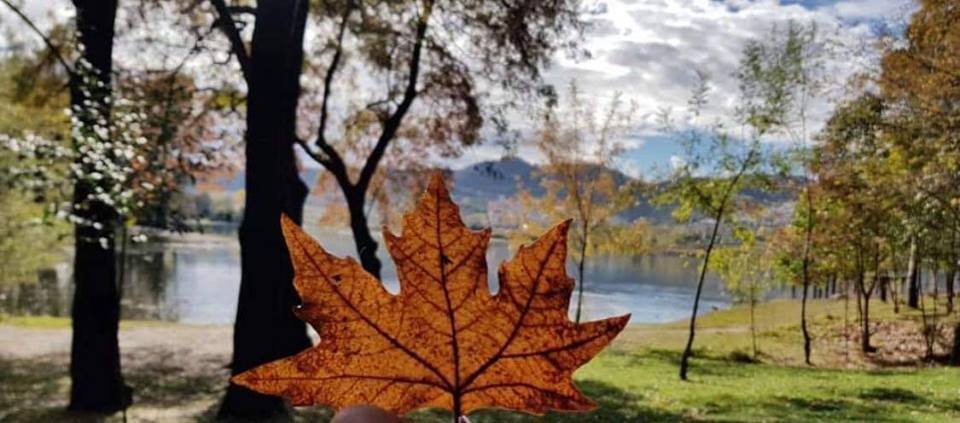 Nga Gjermania deri në Turqi: Të gjithë të ‘çmendur’ pas Shqipërisë