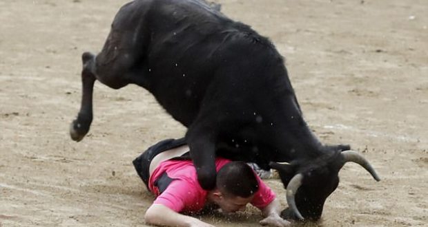 Tragjike! Marrëzia e aktivistit për të mbrojtur demin i kushton jetën (Video) Tragjike! Marrëzia e aktivistit për të mbrojtur demin i kushton jetën (Video)