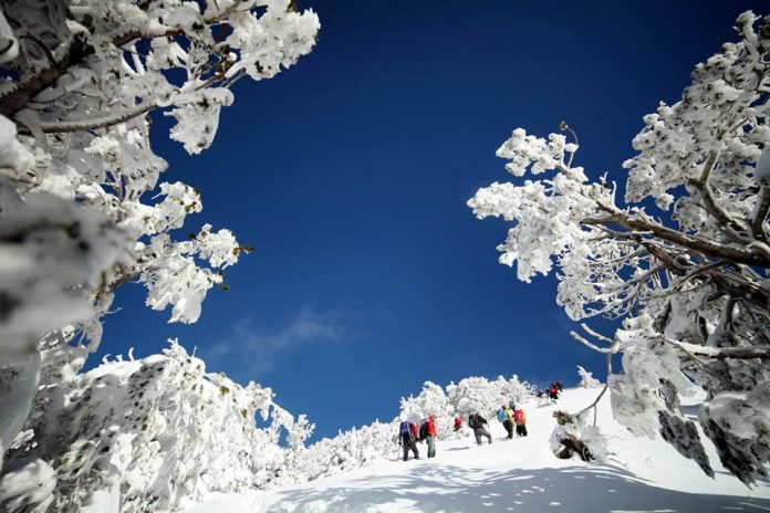 Turizmi kurorëzon sukses në të gjitha drejtimet, 5.6 milionë vizitorë në 2018 Turizmi kurorëzon sukses në të gjitha drejtimet, 5.6 milionë vizitorë në 2018