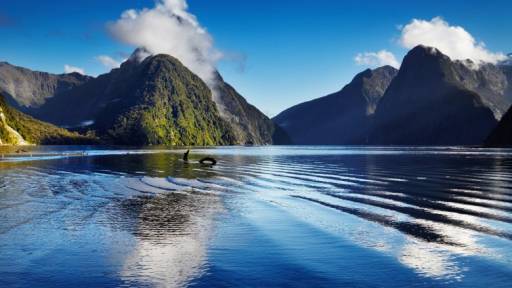 Paguhet 400 mijë dollarë, por askush nuk e pranon këtë punë Paguhet 400 mijë dollarë, por askush nuk e pranon këtë punë