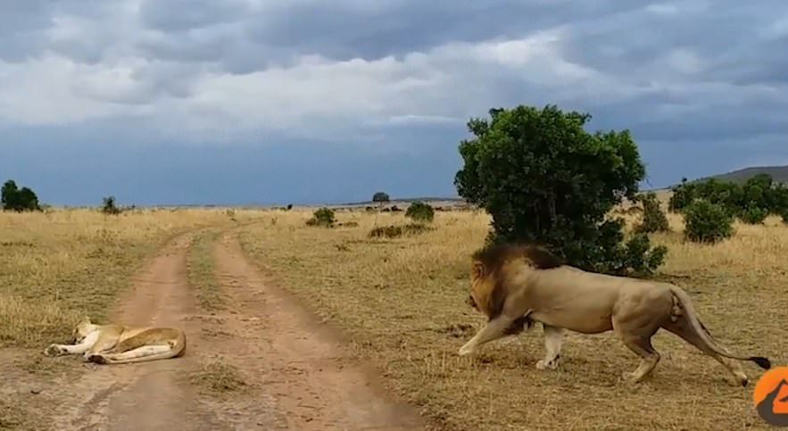 “Nuk kisha parë kurrë një rast të tillë”! (Video) “Nuk kisha parë kurrë një rast të tillë”! (Video)