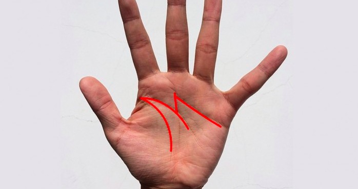 Formimi i “M”-së në pëllëmbën e dorës, ka një domethënie speciale Formimi i “M”-së në pëllëmbën e dorës, ka një domethënie speciale