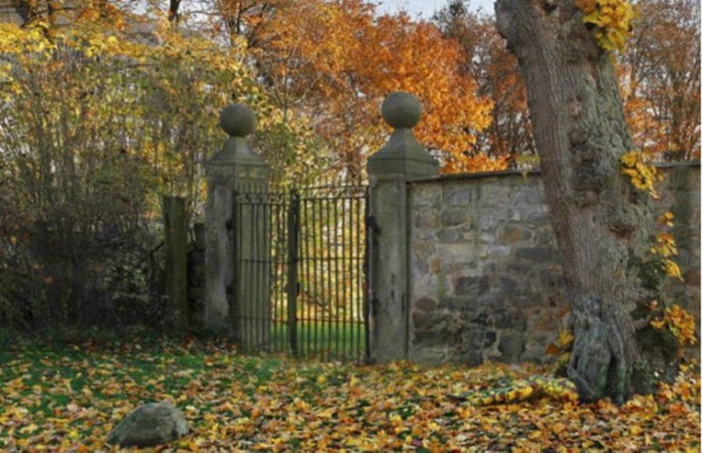 Nëse gjen gruan në foto në 5 sekonda, inteligjenca jote është për t’u admiruar Nëse gjen gruan në foto në 5 sekonda, inteligjenca jote është për t’u admiruar