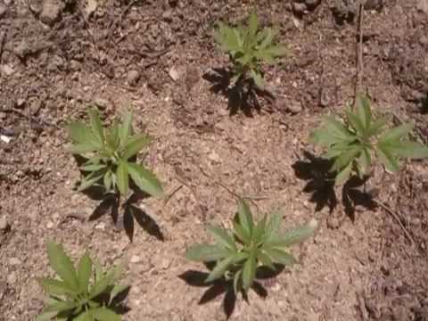 Pse shkurti quhet muaji i “barit”? Policia strategji të re, ja çfarë pritet të ndodhë! Pse shkurti quhet muaji i “barit”? Policia strategji të re, ja çfarë pritet të ndodhë!