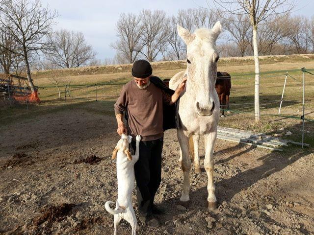 Jetonte në rrugë prej 23 vitesh, apeloi në Facebook dhe u bë me shtëpi Jetonte në rrugë prej 23 vitesh, apeloi në Facebook dhe u bë me shtëpi