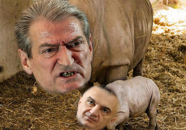 Berisha- Meta ish “rinocerontët” që shpejt do katandisen në “hardhuca” Berisha- Meta ish “rinocerontët” që shpejt do katandisen në “hardhuca”