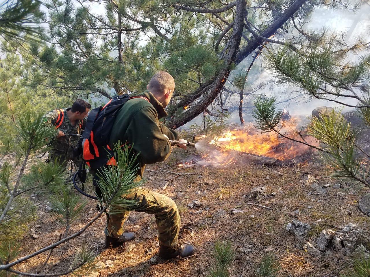 Ushtria në “luftë” me flakët: Bandat e destabilizimit u vendosin flakën pyjeve dhe ullinjve Ushtria në “luftë” me flakët: Bandat e destabilizimit u vendosin flakën pyjeve dhe ullinjve