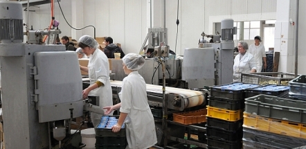 Raporti i Bankës Botërore: Në Shqipëri u krijuan 38 mijë vende pune, 2/3 e tyre janë femra dhe me arsim të mesëm Raporti i Bankës Botërore: Në Shqipëri u krijuan 38 mijë vende pune, 2/3 e tyre janë femra dhe me arsim të mesëm