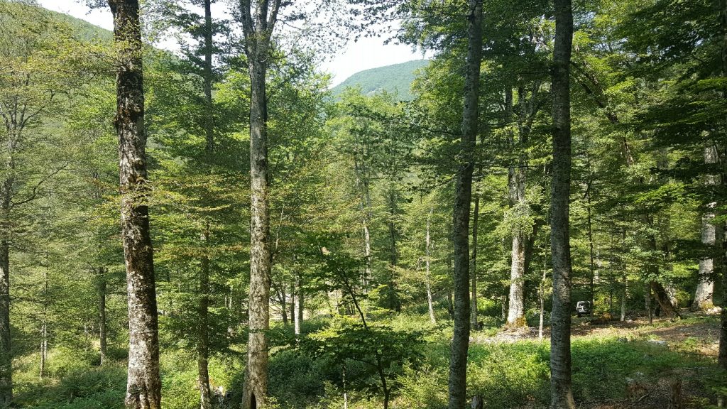 A kanë shqiptarët sot një tregim, një mit, një narrativë afatgjatë?! Nëse jo, duhet të shkruajmë tregimin tonë A kanë shqiptarët sot një tregim, një mit, një narrativë afatgjatë?! Nëse jo, duhet të shkruajmë tregimin tonë