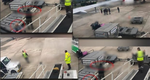 Dosja “Rinasi”, zbulohet kush i tradhtoi autorët dhe po nxjerr gjithë grupin (Detaje) Dosja “Rinasi”, zbulohet kush i tradhtoi autorët dhe po nxjerr gjithë grupin (Detaje)