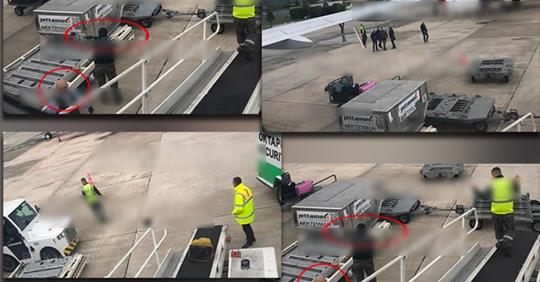 Grabitësit me disiplinë ushtarake Grabitësit me disiplinë ushtarake