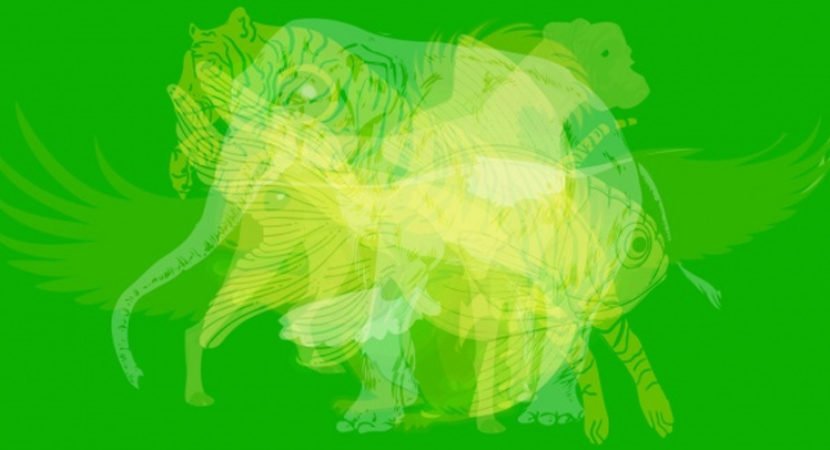 Kafsha e parë që shikoni, tregon shumë për personalitetin tuaj