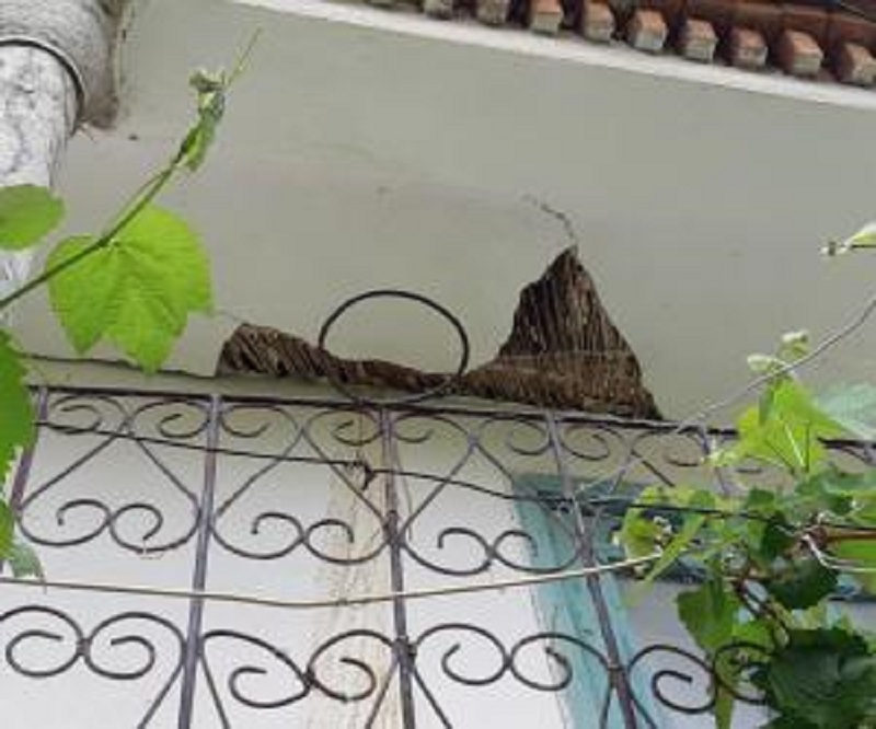 DETAJET/ Rritet numri i të p.lagosurve nga lëkundjet e forta të tërmetit në Korçë DETAJET/ Rritet numri i të p.lagosurve nga lëkundjet e forta të tërmetit në Korçë