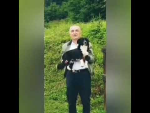 Plas gallata në rrjet me videon e Ilir Metës me qenin “Bubi”: Tani WC e dymbëdhjet në Lalëz ngjitur me Sashën Plas gallata në rrjet me videon e Ilir Metës me qenin “Bubi”: Tani WC e dymbëdhjet në Lalëz ngjitur me Sashën