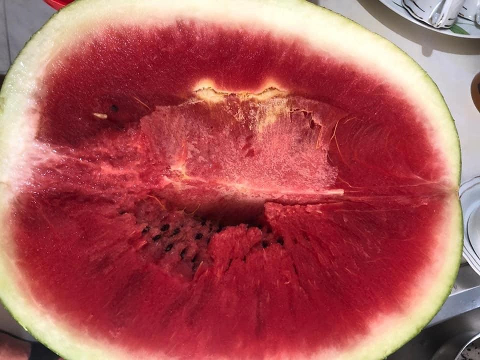 Gazetari ngre alarmin: Produkte 100% të sigurta për të të marrë j.etën Gazetari ngre alarmin: Produkte 100% të sigurta për të të marrë j.etën