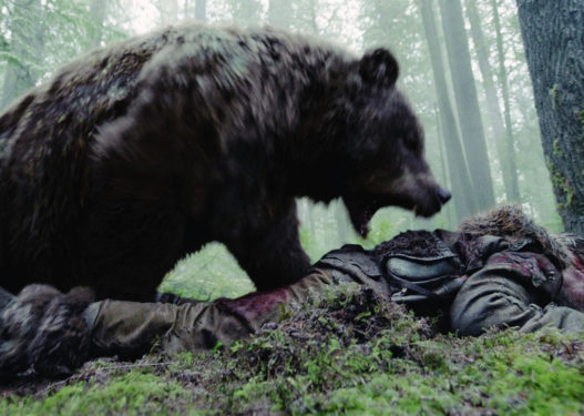 Ariu sulmon policin shqiptar, i sulet teksa kalonte në një fshat në Pejë Ariu sulmon policin shqiptar, i sulet teksa kalonte në një fshat në Pejë