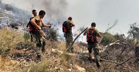 “Luftë” me flakët në Shëngjin, 200 efektivë të angazhuar për shuarjen e zjarrit “Luftë” me flakët në Shëngjin, 200 efektivë të angazhuar për shuarjen e zjarrit