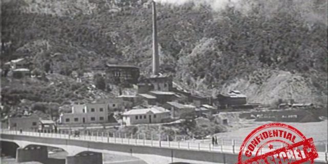 Sa flori prodhohej në Rubik para viteve ’90?! Sa flori prodhohej në Rubik para viteve ’90?!