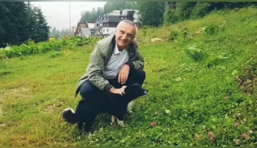 Baton Haxhiu: Meta ka më shumë foto me qenë e mace se me zyrtarë