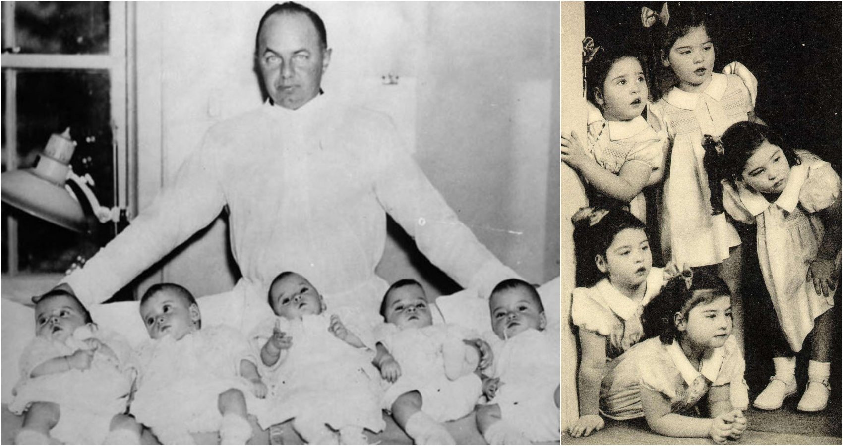 Historia e veçantë e pesënjakeve: Kuriozitet i miliona njerëzve për t’i vizituar i futi në një kopësht zoologjik Historia e veçantë e pesënjakeve: Kuriozitet i miliona njerëzve për t’i vizituar i futi në një kopësht zoologjik