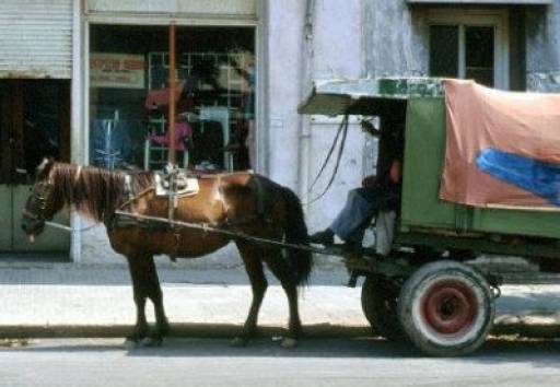 Rama: Në 2020-n asnjë lek për makina dhe dollapë! Kryetarët e bashkive të lëvizin me kalë Rama: Në 2020-n asnjë lek për makina dhe dollapë! Kryetarët e bashkive të lëvizin me kalë