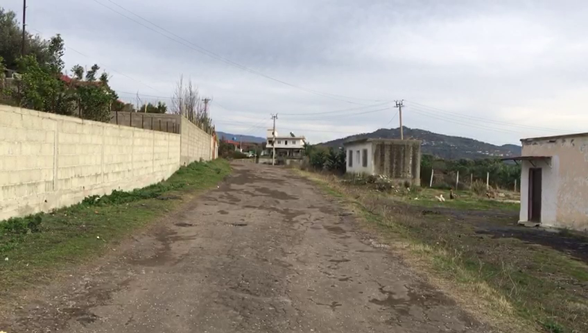 Një tragjedi Shekspiriane, në skenën e injorancës shqiptare Një tragjedi Shekspiriane, në skenën e injorancës shqiptare