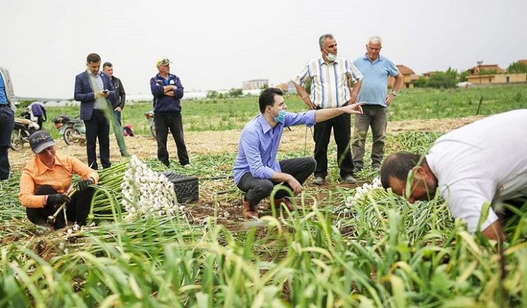 Robin Hudi apo djathtist m**i?!  Basha me “planin të madh” para fermerëve: Do t’ia marr oligarkëve të pasur dhe do t’ua jap juve të varfërve, është shumë e thjeshtë!
