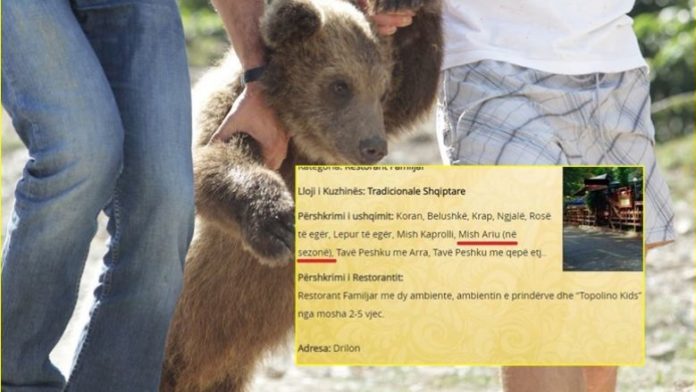 Prestigjiozja britanike: Restoranti shqiptar shërben mish ariu, shesin online shqiponja, dhelpra e majmunë, rrezik sëmundje Prestigjiozja britanike: Restoranti shqiptar shërben mish ariu, shesin online shqiponja, dhelpra e majmunë, rrezik sëmundje