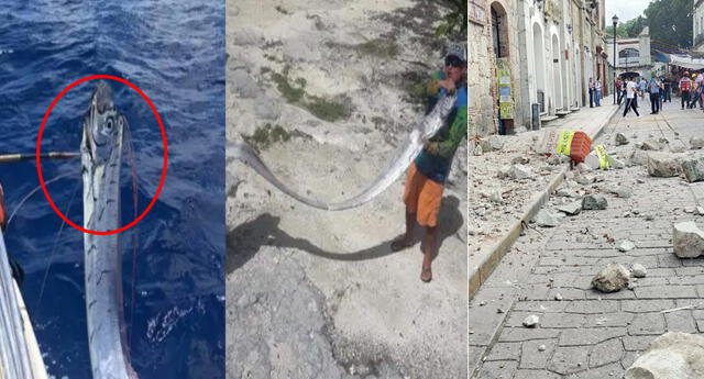 Rastësia e frikshme, peshku që parashikon tërmetet dhe tsunamët u kap pak ditë para se vendi të shkundej nga 7.5 ballë. Ja pse konsiderohet ogur i keq Rastësia e frikshme, peshku që parashikon tërmetet dhe tsunamët u kap pak ditë para se vendi të shkundej nga 7.5 ballë. Ja pse konsiderohet ogur i keq