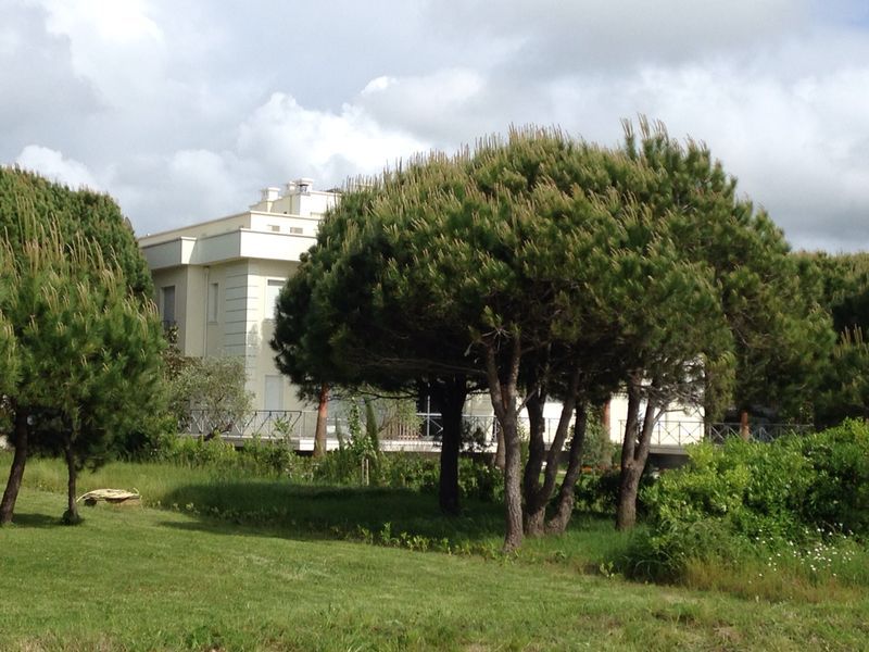 Habit dhëndëri i Berishës! I shqetësuar për ‘’oligarkët” që ndërtojnë te vila e vjehrrit, që thotë se e është e Abit dhe vajzës: Bjellorusët do t’i çosh në Lalëz të shohin ca bandito-oligarkë?! Habit dhëndëri i Berishës! I shqetësuar për ‘’oligarkët” që ndërtojnë te vila e vjehrrit, që thotë se e është e Abit dhe vajzës: Bjellorusët do t’i çosh në Lalëz të shohin ca bandito-oligarkë?!