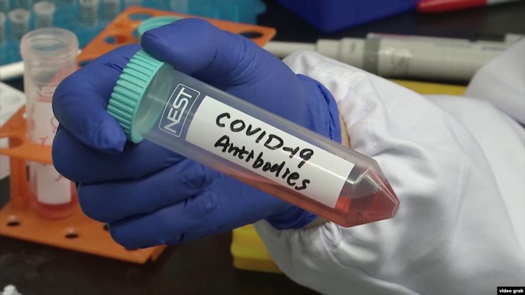 Ethet e shpresës, virologu i Oksfordit: Afër një vaksine, prag-Krishtlindjet sjellin injektimet e para