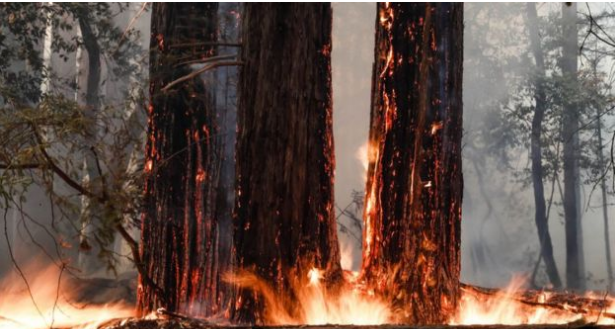 Kalifornia digjet nga dy prej zjarreve më të mëdhaja në histori, Trump lëshon deklaratën e fatëkeqësisë dhe ndihmon me fonde Kalifornia digjet nga dy prej zjarreve më të mëdhaja në histori, Trump lëshon deklaratën e fatëkeqësisë dhe ndihmon me fonde