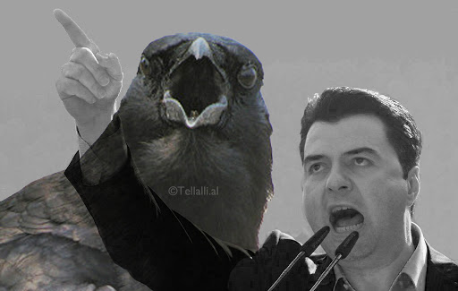 Deputetja Artemis Malo thumbon PD-LSI dhe iu bën thirrje qytetarëve: Shpërfillini, mos humbni kohë me sorra