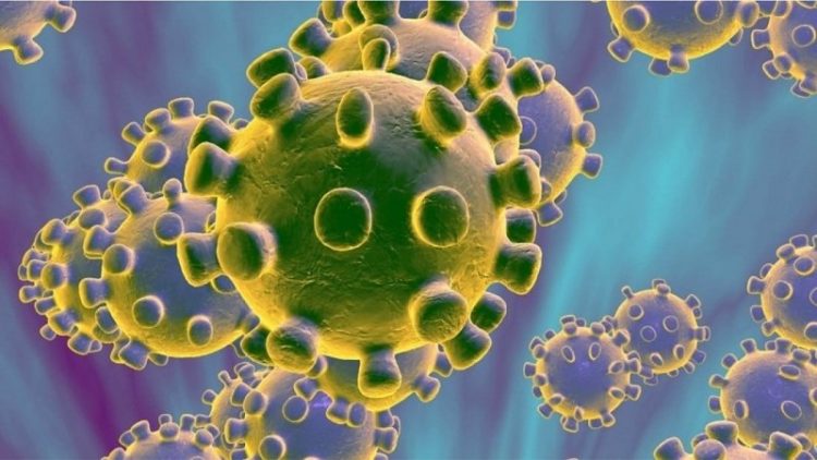 Si hyn koronavirusi në trupin e njeriut