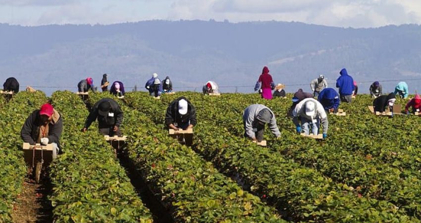 Recesion rekord në Greqi: Ekonomia u tkurr në 3 mujorin e dytë me 15.2% për shkak të pandemisë