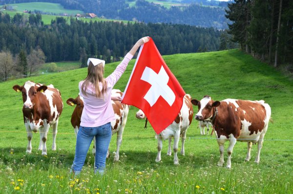 Po kërkoni punë, Zvicra në krizë për punëtorë me paga të majme