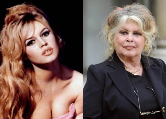 Habit aktorja e famshme: Covid-19 diçka pozitive. Të gjitha të këqijat e kësaj bote vijnë nga mbipopullimi, ka më shumë njerëz nga sa duhet të jenë Habit aktorja e famshme: Covid-19 diçka pozitive. Të gjitha të këqijat e kësaj bote vijnë nga mbipopullimi, ka më shumë njerëz nga sa duhet të jenë