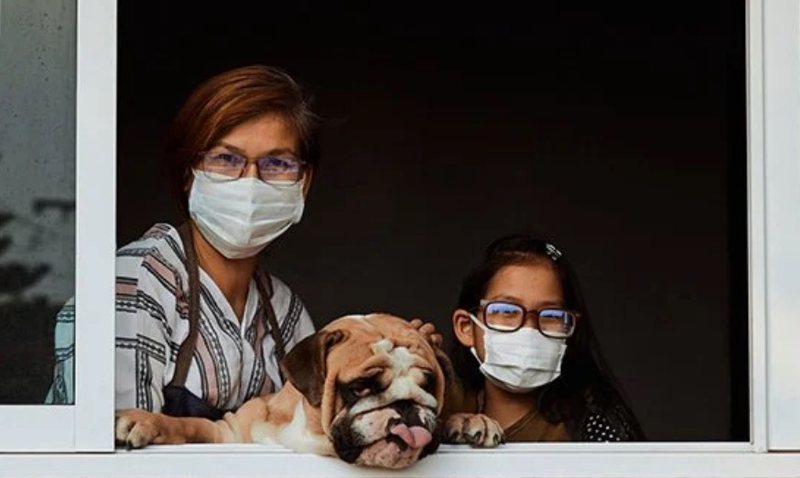 Publikohet studimi më i fundit nëse jeni prekur nga COVID-19: Zbuloni se çfarë i ndodh gjysmës së familjes suaj brenda disa ditësh