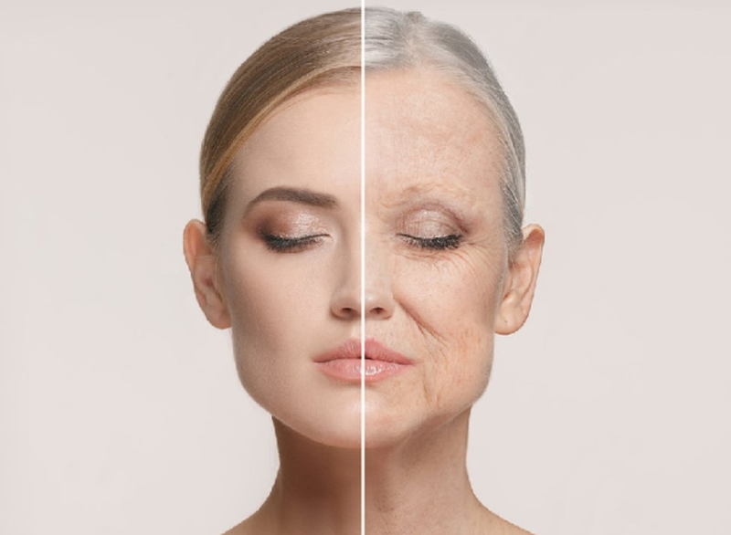 E bujshme, ndodh për herë të parë! Shkencëtarët bëjnë zbulimin e madh, arrijnë të ndalojnë procesin e plakjes tek njeriu përmes… E bujshme, ndodh për herë të parë! Shkencëtarët bëjnë zbulimin e madh, arrijnë të ndalojnë procesin e plakjes tek njeriu përmes…