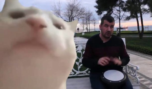 VIDEO/ Historia pas muzikantit të rrugës që u bë i famshëm në të gjithë botën falë një… meme VIDEO/ Historia pas muzikantit të rrugës që u bë i famshëm në të gjithë botën falë një… meme