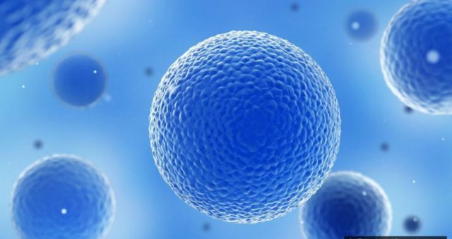 Historia se si qelizat kanë shpëtuar miliona jetë Historia se si qelizat kanë shpëtuar miliona jetë