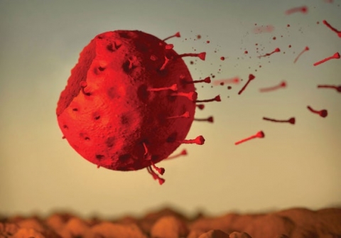 COVID-19 ishte shkaku i tretë i vdekjeve për vitin 2020, ja cilat ishin dy të parat COVID-19 ishte shkaku i tretë i vdekjeve për vitin 2020, ja cilat ishin dy të parat