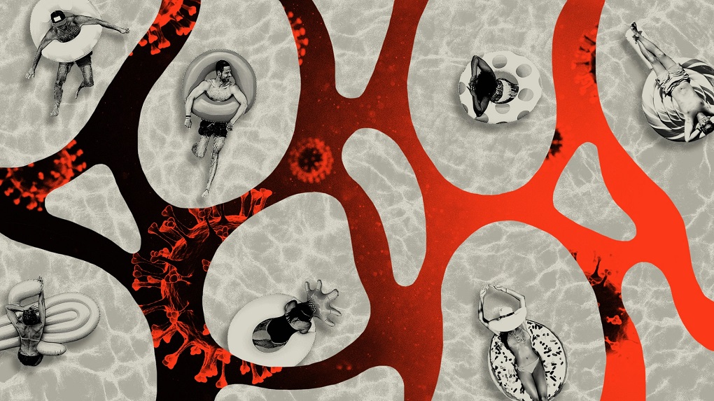 Zbulohet versioni i ri i koronavirusit që po përhapet tek njerëzit nga kafshët: Do v.riten 17 milionë prej tyre Zbulohet versioni i ri i koronavirusit që po përhapet tek njerëzit nga kafshët: Do v.riten 17 milionë prej tyre