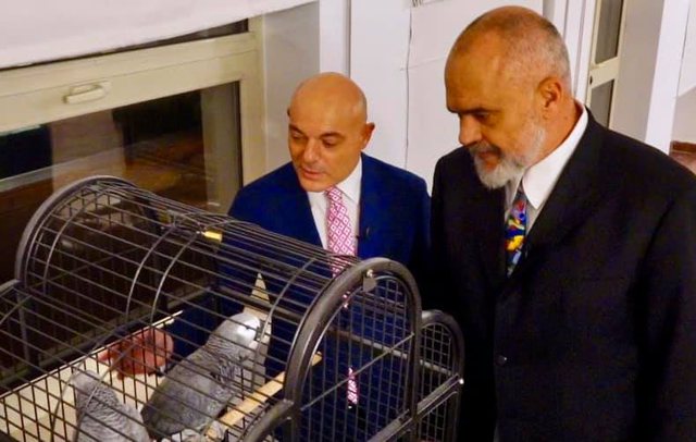 Ndodh për herë të parë/ Kryeministri Edi Rama shfaqet në krah të Blendi Fevziut dhe bën njoftimin e papritur Ndodh për herë të parë/ Kryeministri Edi Rama shfaqet në krah të Blendi Fevziut dhe bën njoftimin e papritur