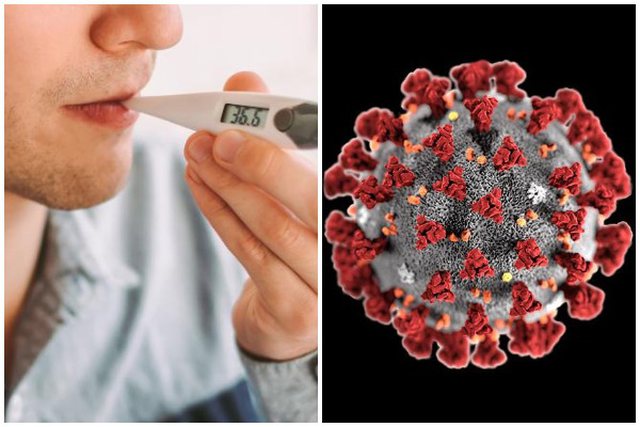 E paskemi ditur gabim, nuk është 37 gradë celsius?! Ekspertët tregojnë si qëndron e vërteta dhe kur duhet të panikoseni: Ja se si mund ta zbuloni temperaturën normale të trupit tuaj E paskemi ditur gabim, nuk është 37 gradë celsius?! Ekspertët tregojnë si qëndron e vërteta dhe kur duhet të panikoseni: Ja se si mund ta zbuloni temperaturën normale të trupit tuaj