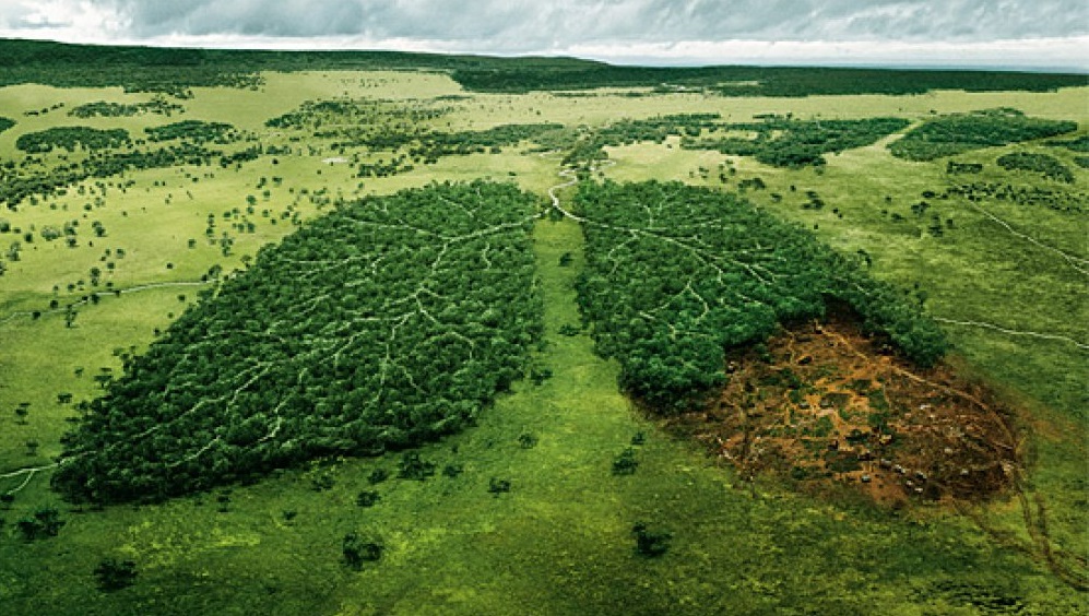 Alarmi/ Bota përjetoi nëntorin e saj më të nxehtë të regjistruar ndonjëherë Alarmi/ Bota përjetoi nëntorin e saj më të nxehtë të regjistruar ndonjëherë