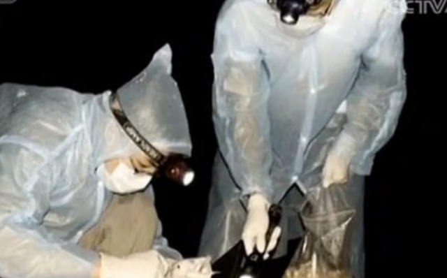 “Na kafshuan lakuriqët e natës të infektuar me COVID-19”, vjen dëshmia tronditëse nga shkencëtarët e Wuhan-it (Video) “Na kafshuan lakuriqët e natës të infektuar me COVID-19”, vjen dëshmia tronditëse nga shkencëtarët e Wuhan-it (Video)