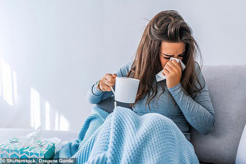 COVID-19 po zhduk një ndër viruset më të përhapur në historinë e njerëzimit, ekspertët befasohen nga ajo që ndodhi gjatë muajit janar