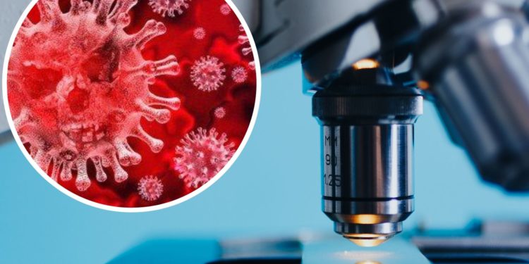 Epidemiologu jep lajmin e keq: Versioni britanik i Covid shumë pranë Shqipërisë, Epidemiologu jep lajmin e keq: Versioni britanik i Covid shumë pranë Shqipërisë,