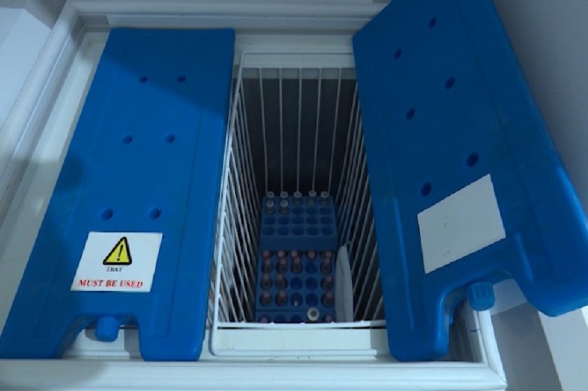 Vaksina nuk shpërndahet në mënyrë të drejtë, alarmi i kreut të OBSH-së: Këto veprime favorizojnë pandeminë Vaksina nuk shpërndahet në mënyrë të drejtë, alarmi i kreut të OBSH-së: Këto veprime favorizojnë pandeminë